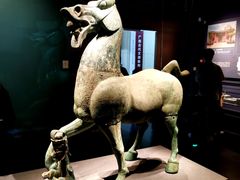 -广西壮族自治区博物馆