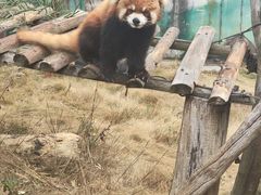-泉州海丝野生动物世界