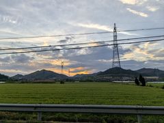 -李东农庄(中南百草园地标店)