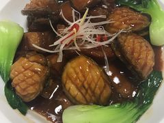 -玺尊龙·云岭四季(西南店)