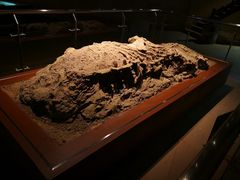 -世界恐龙谷景区