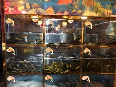 水产区-三道苗苗鱼·美蛙黄辣丁(八里店)