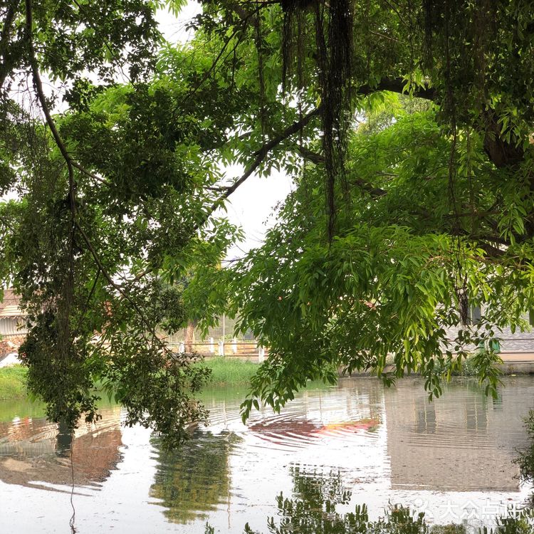 地地道道鱼片粥