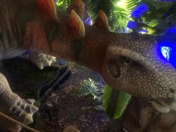 点击看大图 -恐龙探索乐园(磁器口店)