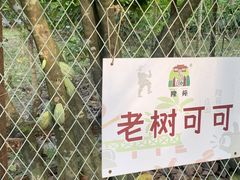 -兴隆隆苑咖啡庄园