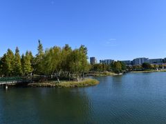 -尚贤河湿地