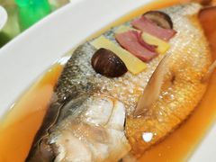 清蒸鲥鱼-金时代顺风大酒店(协泰店)