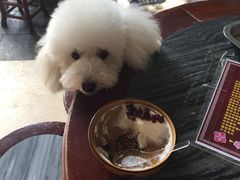 -黄埔古港