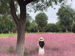 -汉长安城未央宫国家考古遗址公园