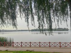 -丁香湖公园