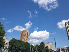 -桃源市场(解放路店)