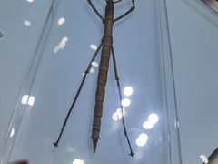 -上海昆虫博物馆