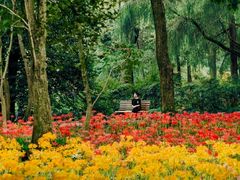 -杭州植物园