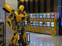 -华美国际影城(旧宫永辉店)