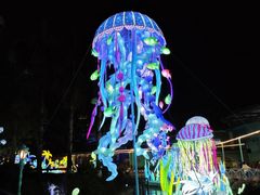 -海合安武汉极地海洋公园