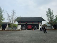 -大唐贡茶院