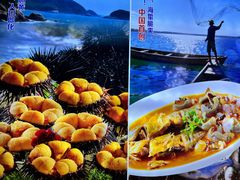-老大连·海肠捞饭·大连海鲜大连菜(西安路店)