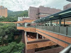 -香港大学