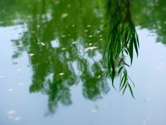 -钓鱼台国宾馆