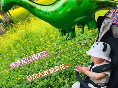 -长白岛森林公园