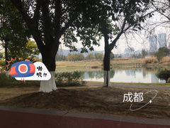 -桂溪生态公园
