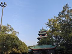 -桂湖森林公园