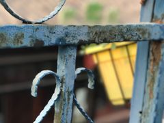 -Sirena海妖日咖夜酒