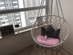 -SixOne六一日式美甲美睫