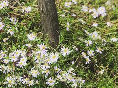 -南通博物苑-崇川人民公园