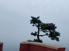 -天津盘山风景名胜区