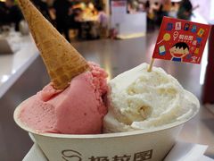 -极拉图·现制冰淇淋(大卫城店)