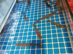 -犇鼎牛潮汕牛肉火锅(新辰里学清路店)