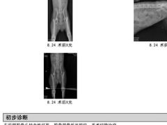 -立德动物医院·24小时中心(番禺区院区)