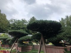 -水绘园