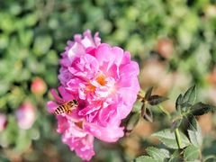 -人民公园(罗湖区)