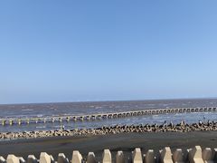 -南汇新城海滩