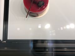 -BLACKSWAN黑天鹅(环球店)
