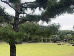-雪绿茶博物馆