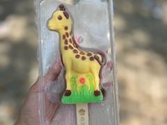 -秦皇岛野生动物园