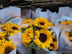 -循礼门鲜花花市(武汉循礼门店)