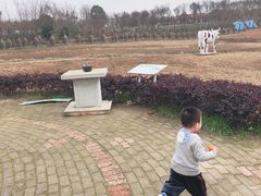 -武汉紫薇都市田园