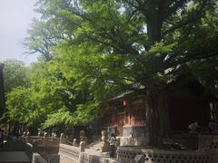 -晋祠博物馆
