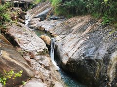 -广州白江湖森林公园