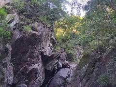 -云岫谷游猎自然风景区