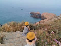 -枸杞岛