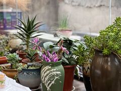 -山水之味·大鱼头·农家菜(张公洞店)