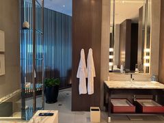 -上海柏悦酒店