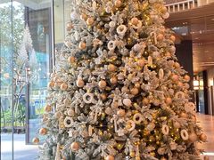 -开唐咖啡吧Open House Cafe·深圳前海JEN酒店