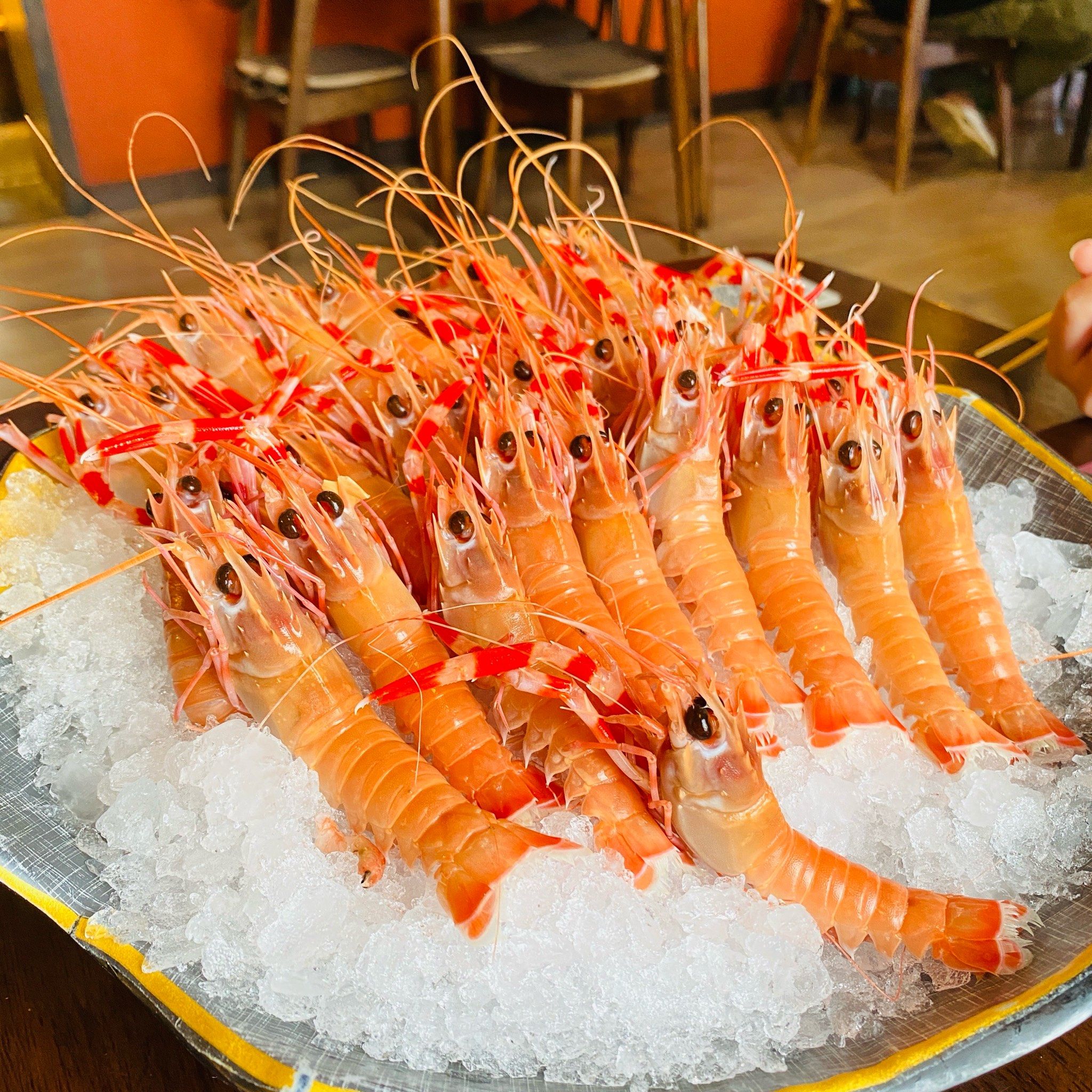 鳌虾甜虾自由