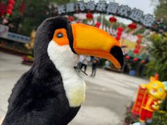-广州长隆飞鸟乐园